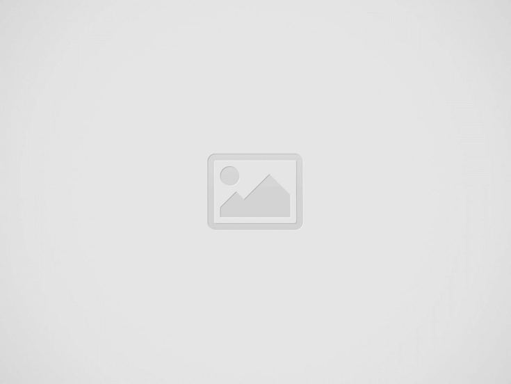 LLC Operating Agreement Template